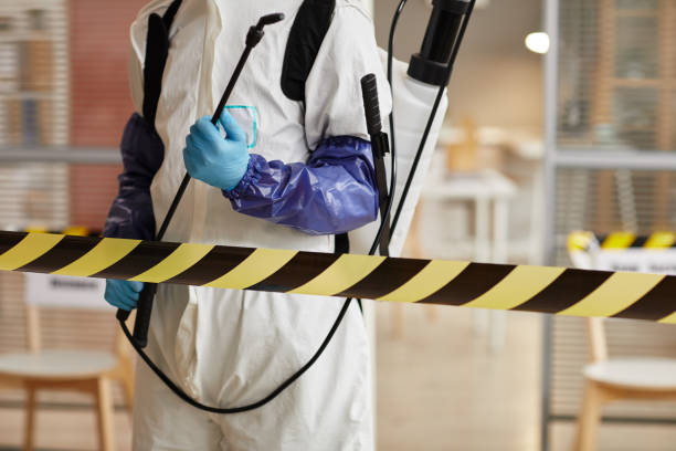 Professional Hoarding Cleanup technician working in Cypress, TX